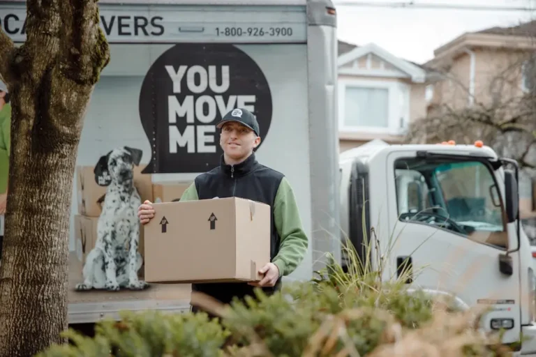 mover carrying boxes
