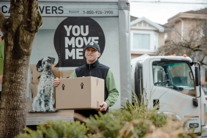 mover carrying boxes